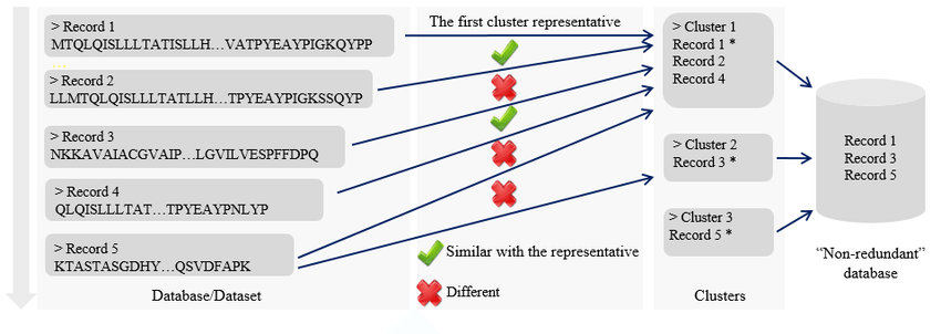 CD-HIT main paradigm